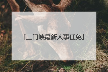 三门峡最新人事任免