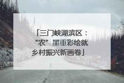 三门峡湖滨区：“农”墨重彩绘就乡村振兴新画卷