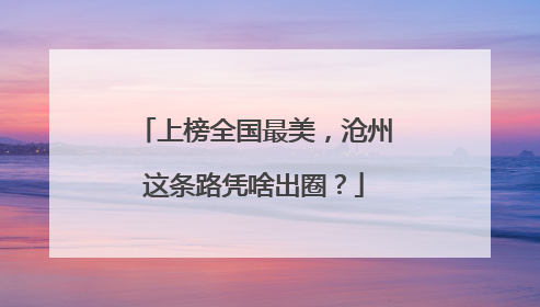 上榜全国最美，沧州这条路凭啥出圈？