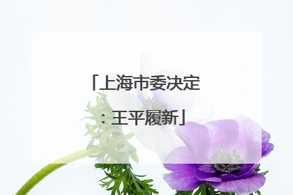 上海市委决定：王平履新