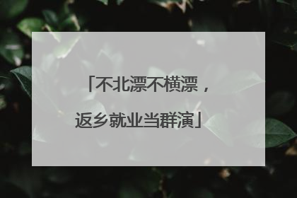 不北漂不横漂，返乡就业当群演