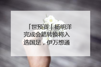 世预赛｜杨明洋完成会籍转换将入选国足，伊万想通了要打双后腰？