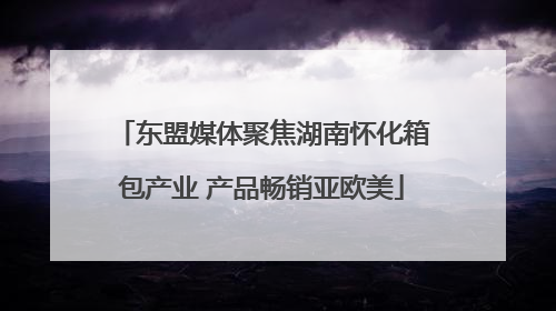 东盟媒体聚焦湖南怀化箱包产业 产品畅销亚欧美