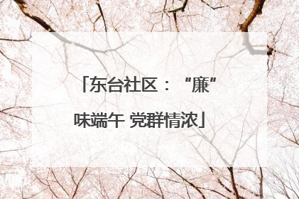 东台社区：“廉”味端午 党群情浓