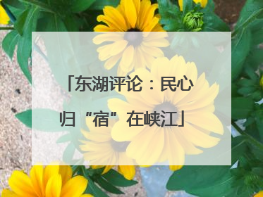 东湖评论：民心归“宿”在峡江