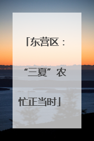 东营区：“三夏”农忙正当时