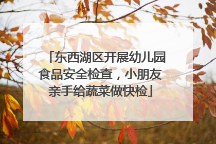 东西湖区开展幼儿园食品安全检查，小朋友亲手给蔬菜做快检