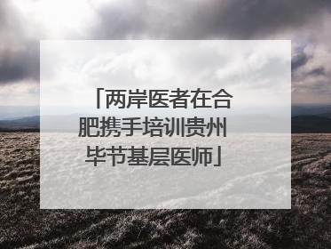 两岸医者在合肥携手培训贵州毕节基层医师