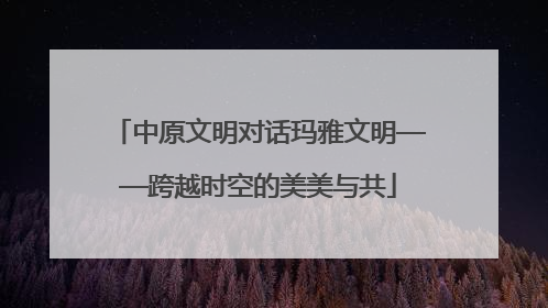 中原文明对话玛雅文明——跨越时空的美美与共