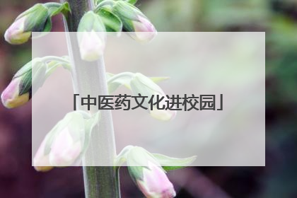 中医药文化进校园