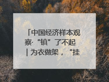 中国经济样本观察·“镇”了不起｜为衣做架，“挂”出来的80亿元“衣架产业”