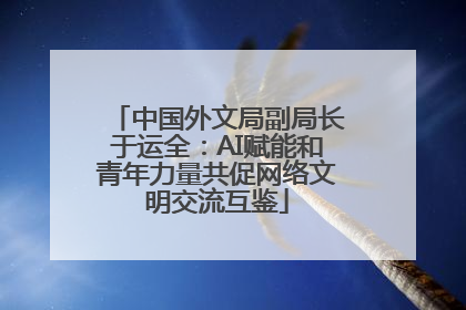 中国外文局副局长于运全：AI赋能和青年力量共促网络文明交流互鉴