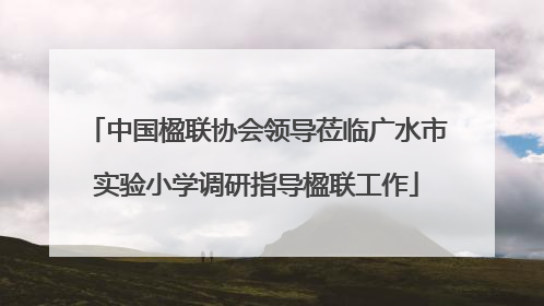 中国楹联协会领导莅临广水市实验小学调研指导楹联工作