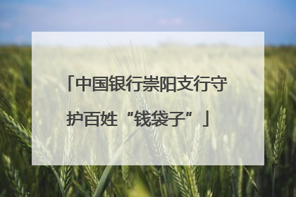 中国银行崇阳支行守护百姓“钱袋子”