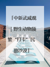 中新武威观｜野生动物频繁“打卡”民勤沙漠