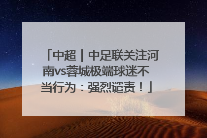 中超｜中足联关注河南vs蓉城极端球迷不当行为：强烈谴责！