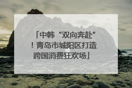 中韩“双向奔赴”！青岛市城阳区打造跨国消费狂欢场