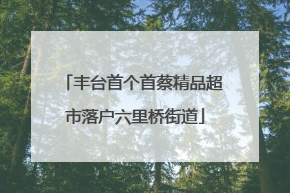 丰台首个首蔡精品超市落户六里桥街道