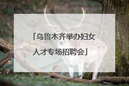 乌鲁木齐举办妇女人才专场招聘会