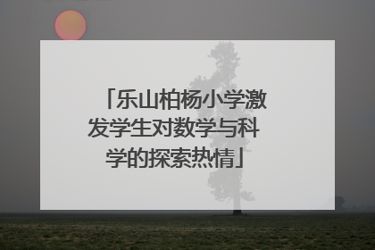乐山柏杨小学激发学生对数学与科学的探索热情