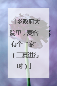 乡政府大院里，麦客有个“家”（三夏进行时）