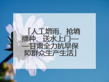 人工增雨、抢墒播种、送水上门——甘肃全力抗旱保障群众生产生活