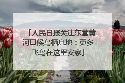 人民日报关注东营黄河口候鸟栖息地：更多飞鸟在这里安家