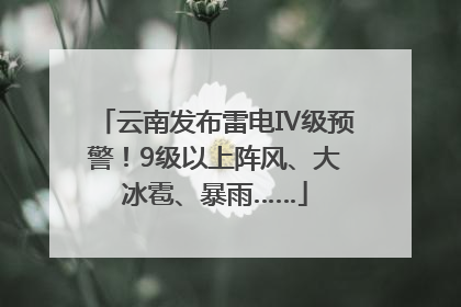 云南发布雷电Ⅳ级预警！9级以上阵风、大冰雹、暴雨……