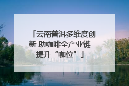 云南普洱多维度创新 助咖啡全产业链提升“咖位”