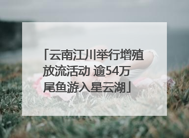 云南江川举行增殖放流活动 逾54万尾鱼游入星云湖