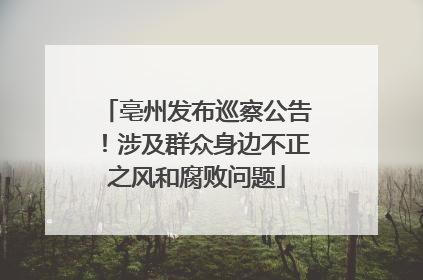 亳州发布巡察公告！涉及群众身边不正之风和腐败问题