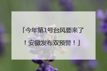 今年第1号台风要来了！安徽发布双预警！