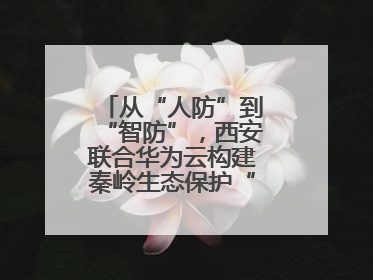 从“人防”到“智防”，西安联合华为云构建秦岭生态保护“数字屏障”