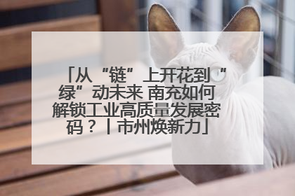 从“链”上开花到“绿”动未来 南充如何解锁工业高质量发展密码？丨市州焕新力