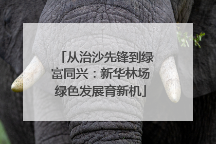 从治沙先锋到绿富同兴：新华林场绿色发展育新机