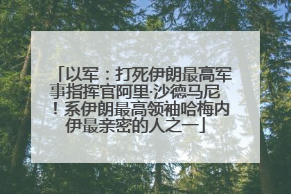 以军：打死伊朗最高军事指挥官阿里·沙德马尼！系伊朗最高领袖哈梅内伊最亲密的人之一