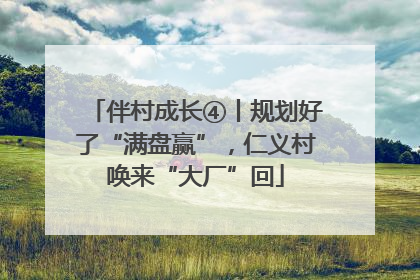 伴村成长④丨规划好了“满盘赢”，仁义村唤来“大厂”回