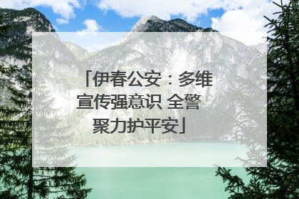 伊春公安：多维宣传强意识 全警聚力护平安