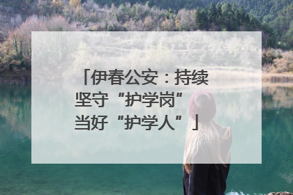 伊春公安：持续坚守“护学岗” 当好“护学人”