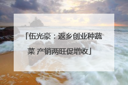 伍光豪：返乡创业种蔬菜 产销两旺促增收