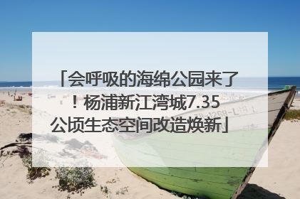 会呼吸的海绵公园来了！杨浦新江湾城7.35公顷生态空间改造焕新