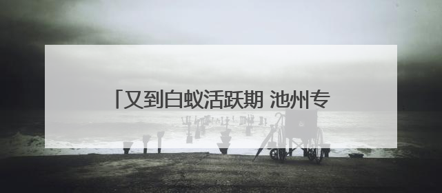 又到白蚁活跃期 池州专业防治人员教你如何应对