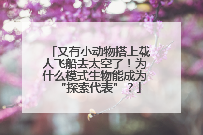 又有小动物搭上载人飞船去太空了！为什么模式生物能成为“探索代表”？