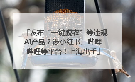 发布“一键脱衣”等违规AI产品？涉小红书、哔哩哔哩等平台！上海出手
