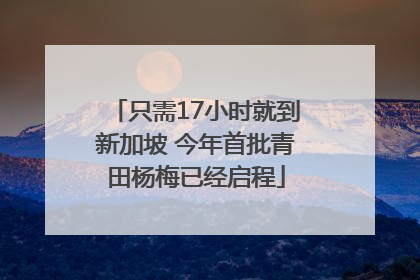只需17小时就到新加坡 今年首批青田杨梅已经启程