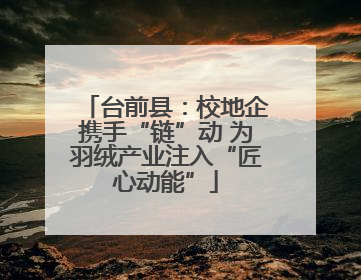 台前县：校地企携手“链”动 为羽绒产业注入“匠心动能”