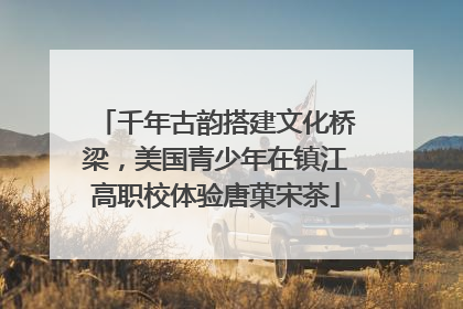 千年古韵搭建文化桥梁，美国青少年在镇江高职校体验唐菓宋茶
