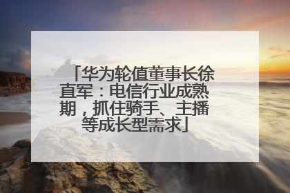 华为轮值董事长徐直军：电信行业成熟期，抓住骑手、主播等成长型需求