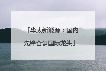 华太新能源：国内先锋奋争国际龙头