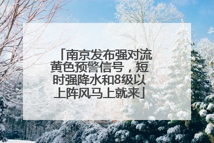 南京发布强对流黄色预警信号，短时强降水和8级以上阵风马上就来